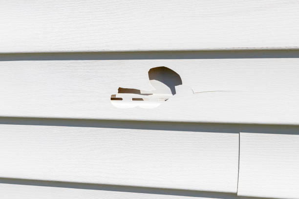 Affordable siding repair and maintenance services in Moses Lake, WA